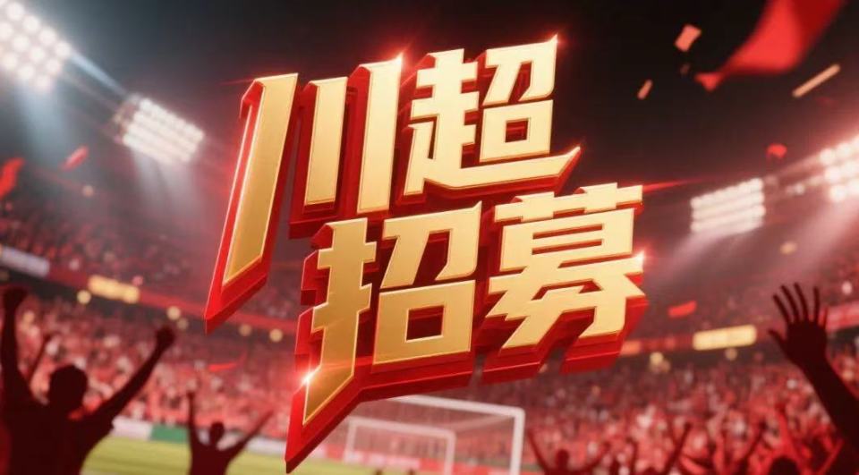 之国而拼搏, 总决赛