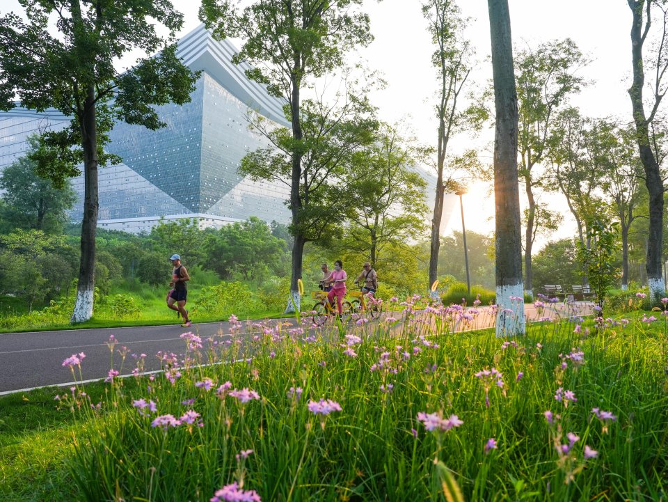 第十二届世, com, FPmpx