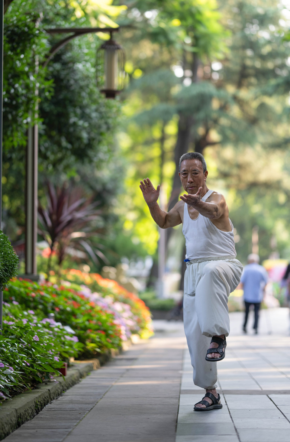 img, 区举行的一