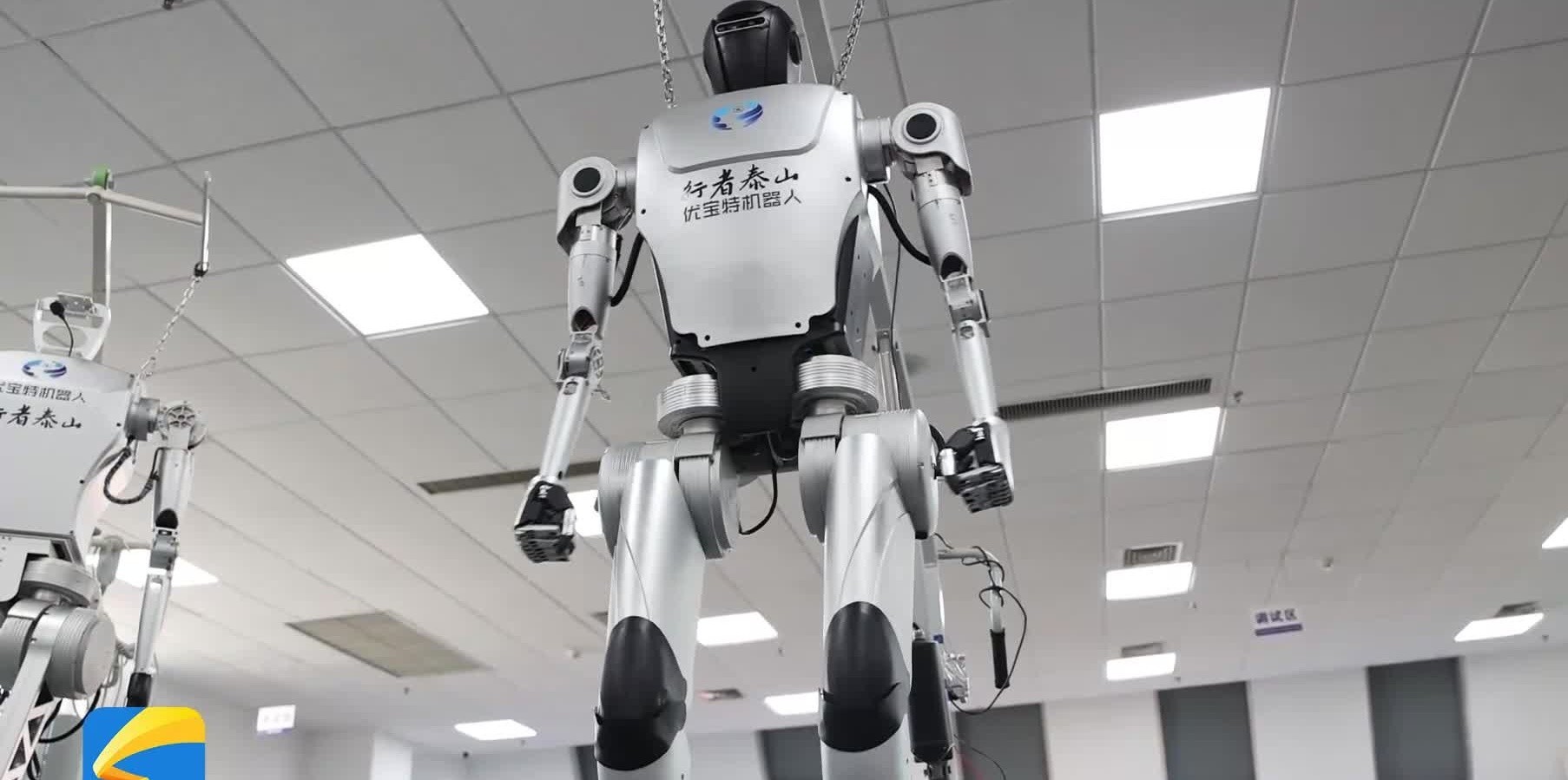 来自山东优, 稳定奔跑, 比赛现场