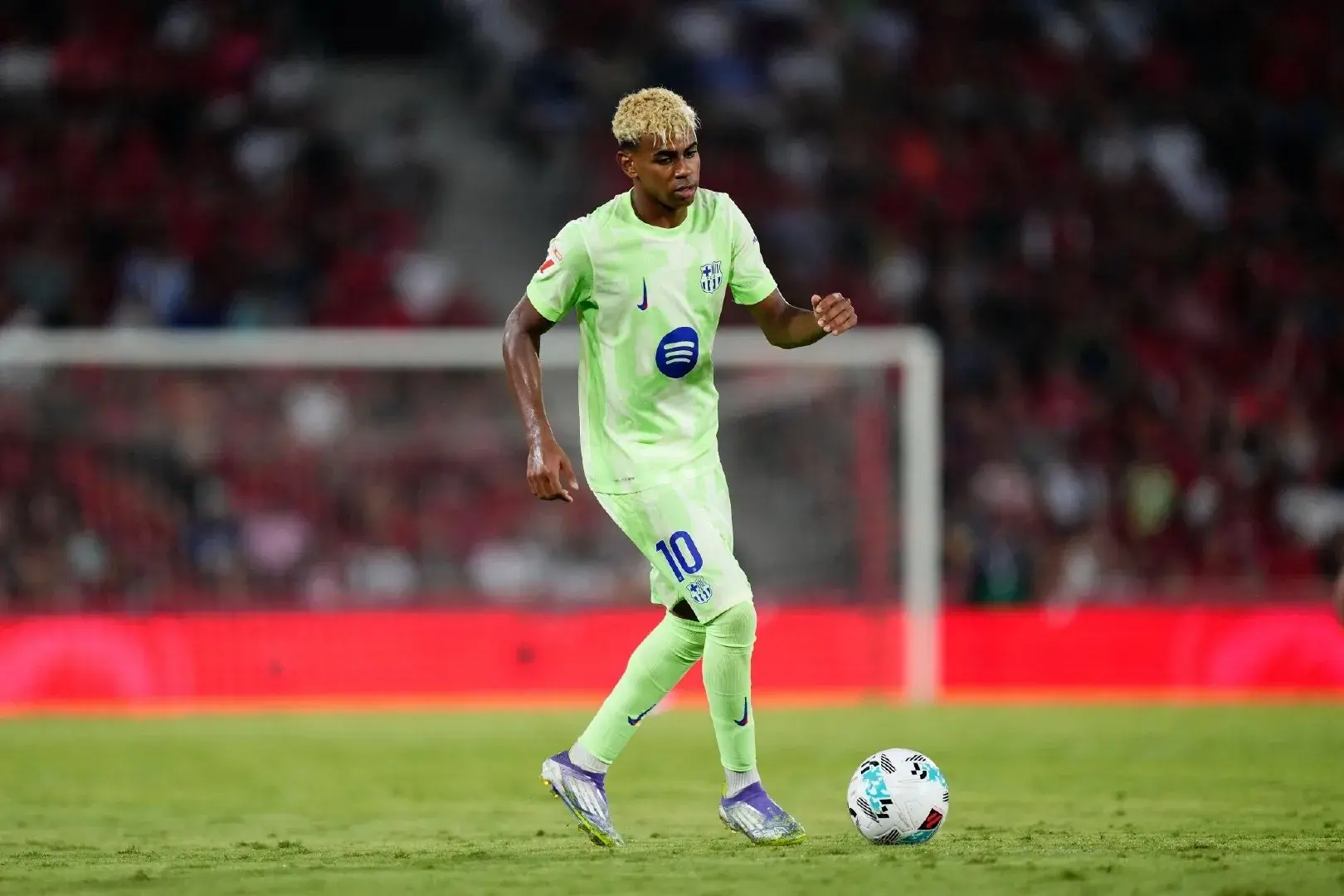 功不可没, entit, entit