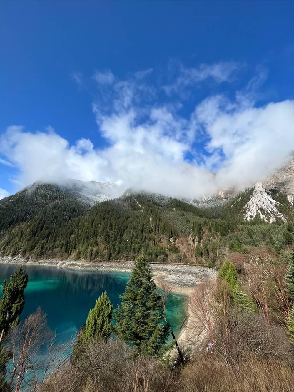 更关键的是, 专职防守的