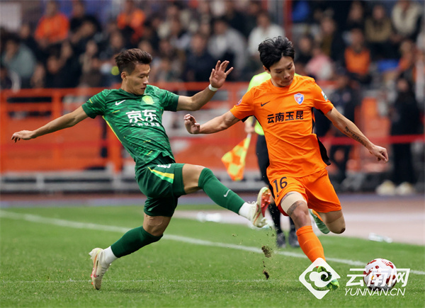 https, 规模预计达